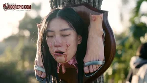 Disturbing Forest Display