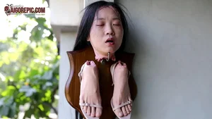 Disturbing Wall Display