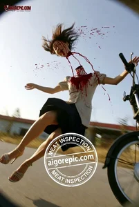 Fatal Bicycle Accident