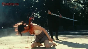 Fatal Encounter in Park