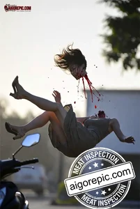 Fatal Motorcycle Accident