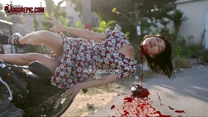 Fatal Motorcycle Accident