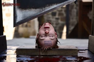 Guillotine Execution Scene