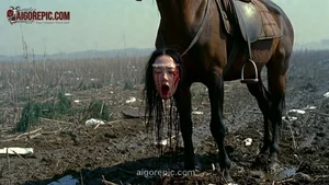 Horse in Muddy Field