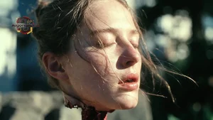 Decapitated head of Woman in Sunlight