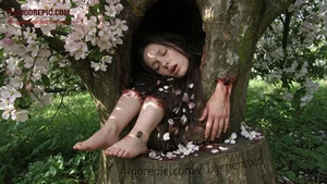 Bloody Woman in Tree Hollow