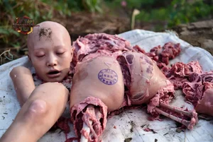 Butchered Animal Remains