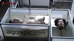 Severed Heads in Glass Tanks