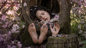 Sleeping Woman in Tree Hollow