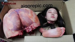 Surreal Boxed Fusion