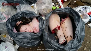 Torso in Bloody Trash Bags