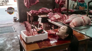 Woman in Butcher Shop