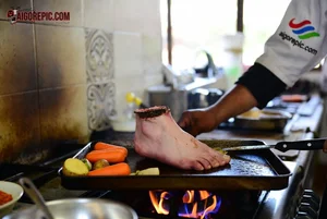 Aigorepic  35 8Uj Tyuj013