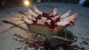 Bloody Wheelbarrow of Severed Legs