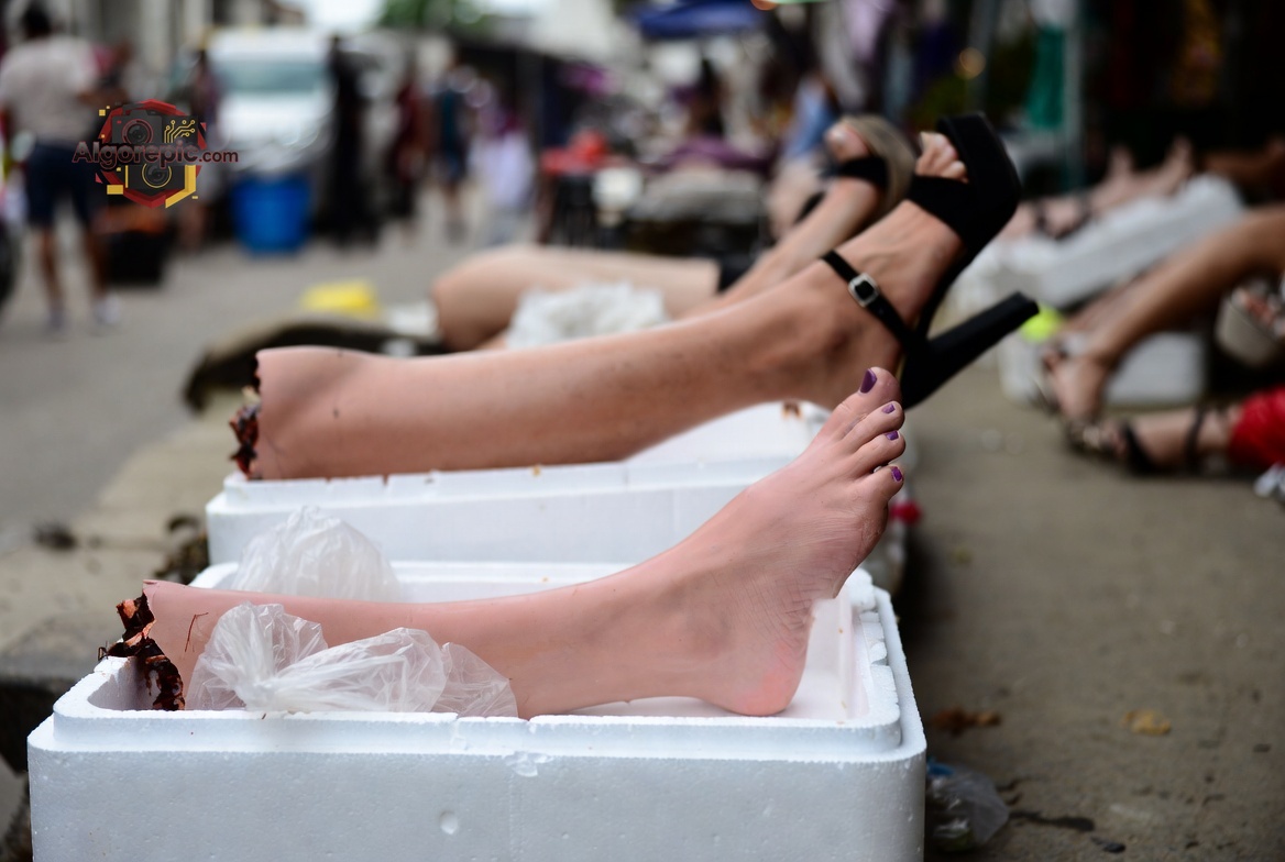 Severed Legs in Boxes - AI Generated Horror