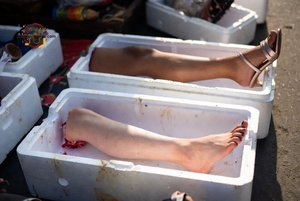 Severed Legs in Coolers