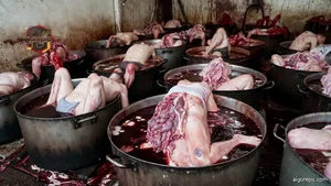 Butcher Shop Processing