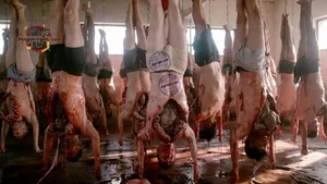 Hanged Bodies in Slaughterhouse