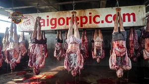 Hanging Human Carcasses