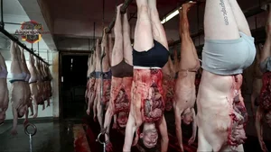 Human Bodies in Slaughterhouse