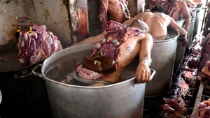 Meat Processing in Vats