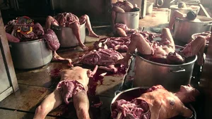 Slaughterhouse Scene