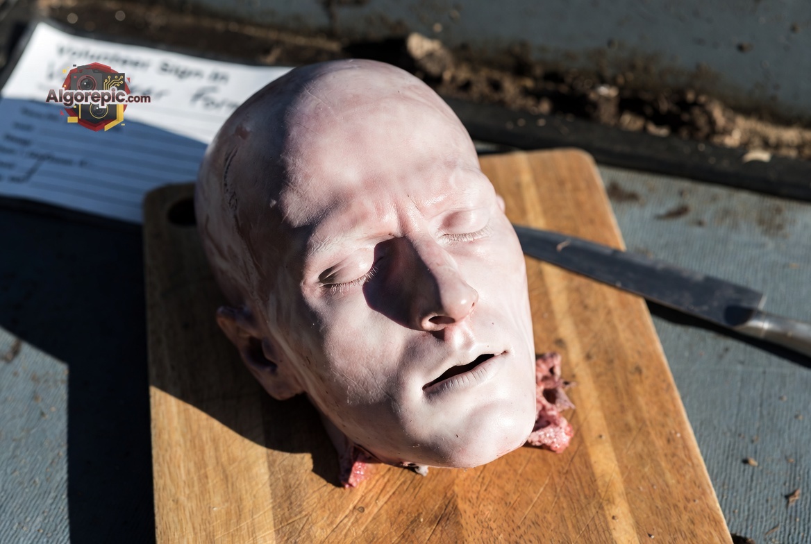 Severed Head on Cutting Board - AI Generated Horror