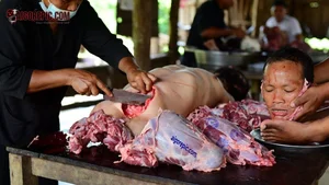 Butchering a Pig