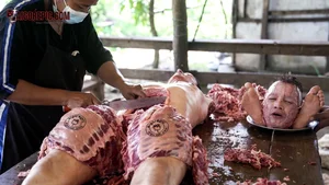 Butchering Process in Action