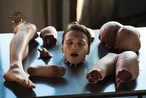 Dismembered Body Parts Display