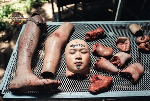 Dismembered Body Parts Display