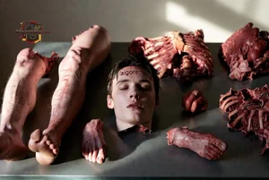 Dissected Human Anatomy