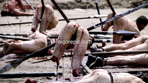 Gruesome Battlefield Aftermath