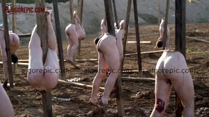 Gruesome Hanging Bodies