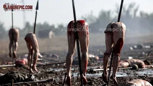 Impaled Bodies in Field