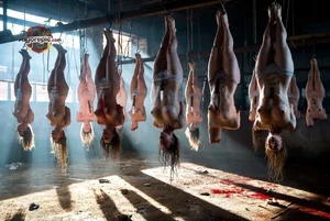 Hanging Bodies in Warehouse