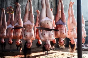 Hanging Bodies with Knives