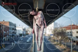 Hanging Under Bridge