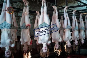 Other Female Corpses