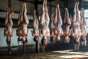 Suspended Women in Warehouse
