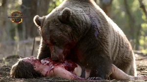 Bear Attack in Forest