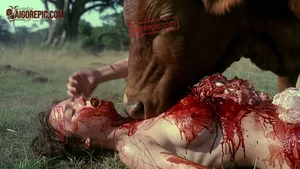 Cow and Bloodied Woman