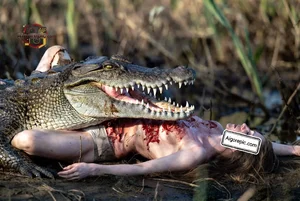Crocodile Attack Scene