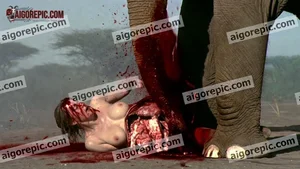 Elephant Attack Scene
