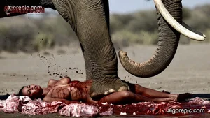Elephant Attack Scene