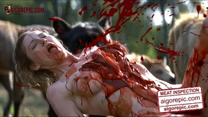 Gory Scene with Cows
